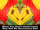 What You Dont Understand