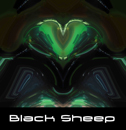 Black Sheep