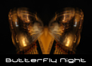 Butterfly Night