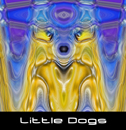 Little Dogs