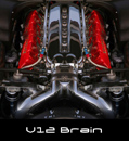 V12 Brain